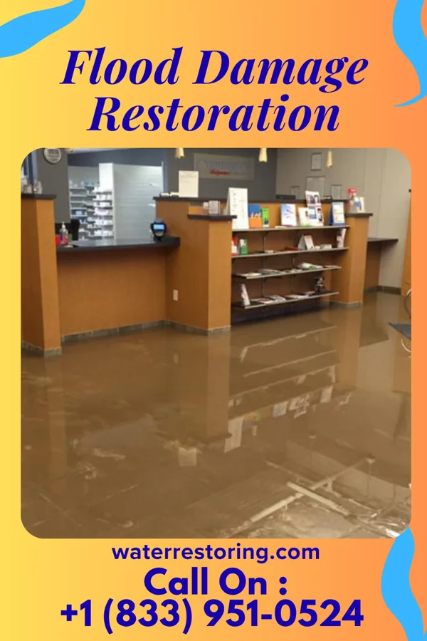 Flood Damage Restoration in Anguilla, MS
