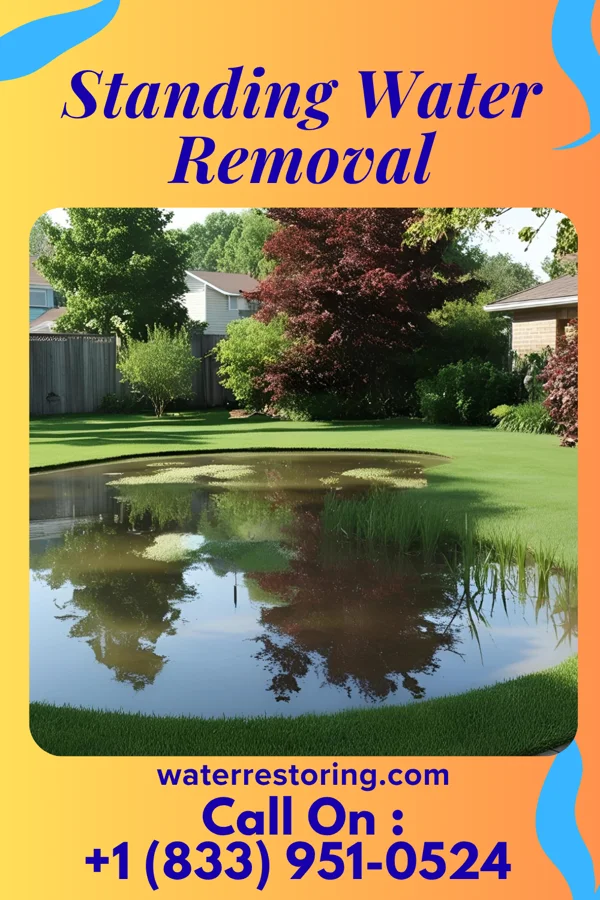Standing Water Removal in Anguilla, MS